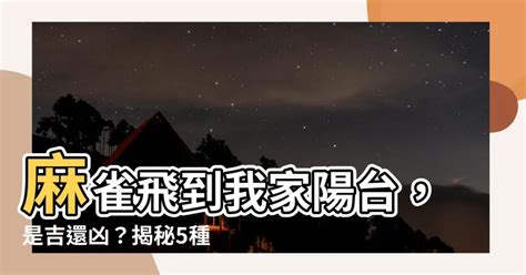 雀鳥飛入屋|【麻雀飛到陽台】麻雀飛到我家陽台，是吉還兇？揭秘5種鳥飛入。